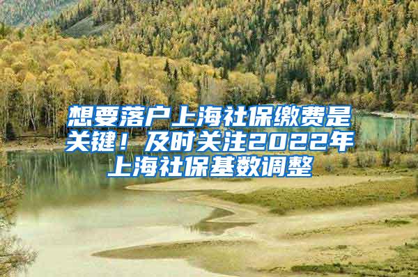 想要落户上海社保缴费是关键！及时关注2022年上海社保基数调整