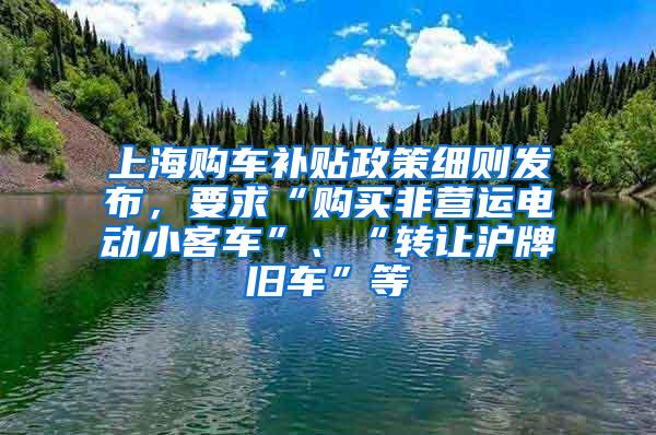 上海购车补贴政策细则发布，要求“购买非营运电动小客车”、“转让沪牌旧车”等