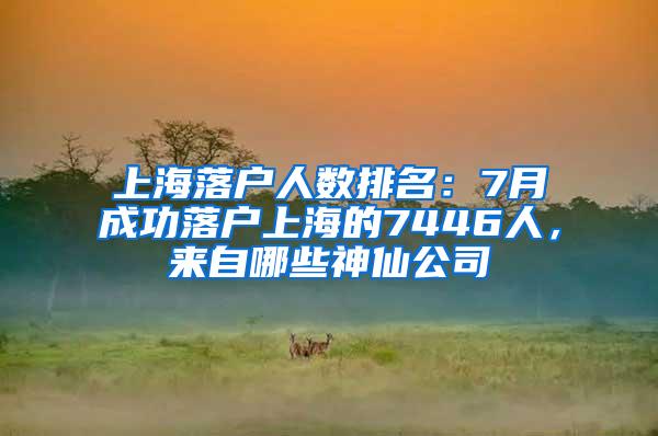 上海落户人数排名：7月成功落户上海的7446人，来自哪些神仙公司