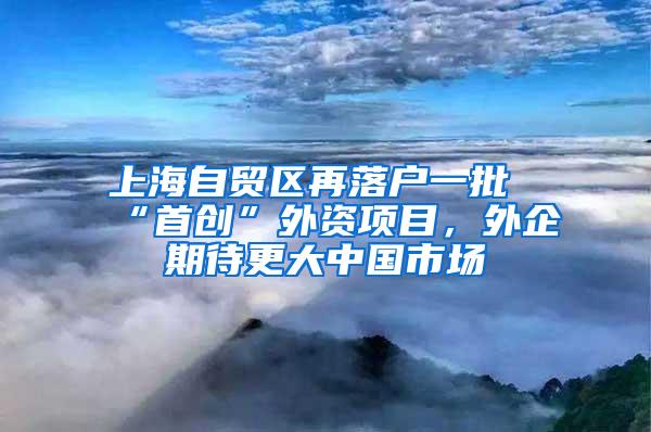 上海自贸区再落户一批“首创”外资项目，外企期待更大中国市场