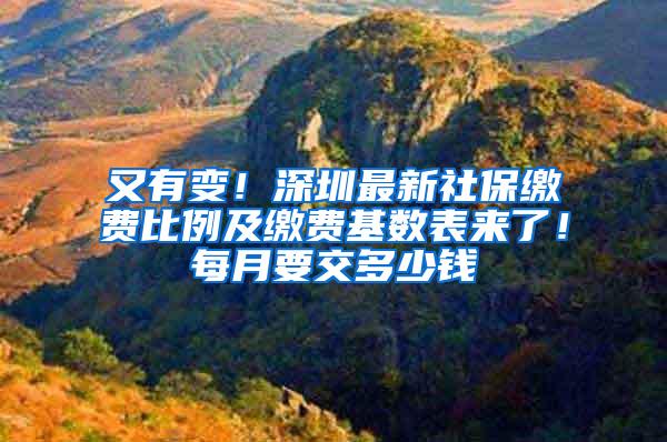 又有变！深圳最新社保缴费比例及缴费基数表来了！每月要交多少钱