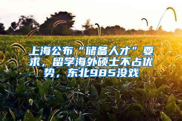 上海公布“储备人才”要求，留学海外硕士不占优势，东北985没戏