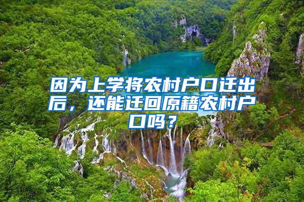 因为上学将农村户口迁出后，还能迁回原籍农村户口吗？