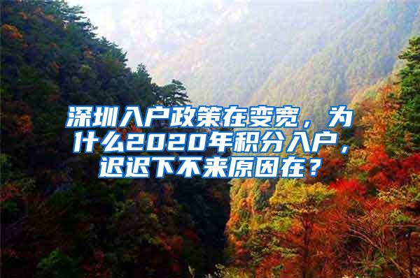 深圳入户政策在变宽，为什么2020年积分入户，迟迟下不来原因在？