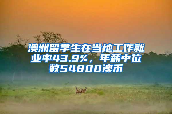 澳洲留学生在当地工作就业率43.9%，年薪中位数54800澳币