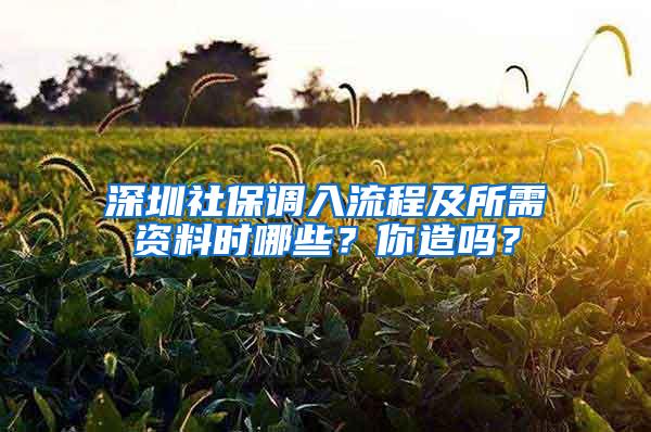 深圳社保调入流程及所需资料时哪些？你造吗？