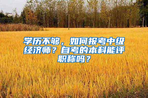 学历不够，如何报考中级经济师？自考的本科能评职称吗？