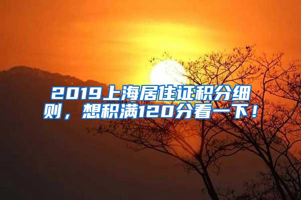 2019上海居住证积分细则，想积满120分看一下！