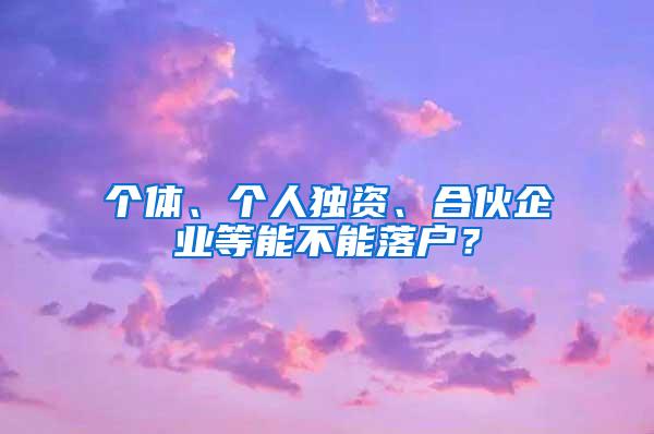 个体、个人独资、合伙企业等能不能落户？