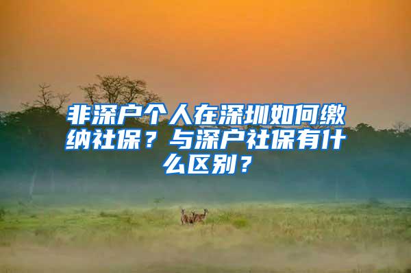 非深户个人在深圳如何缴纳社保？与深户社保有什么区别？