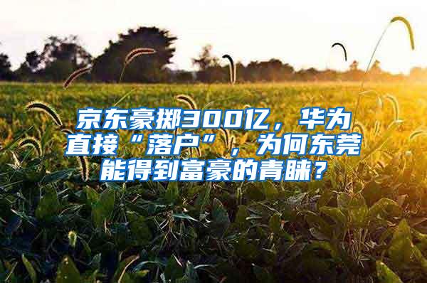 京东豪掷300亿，华为直接“落户”，为何东莞能得到富豪的青睐？