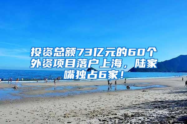 投资总额73亿元的60个外资项目落户上海，陆家嘴独占6家！