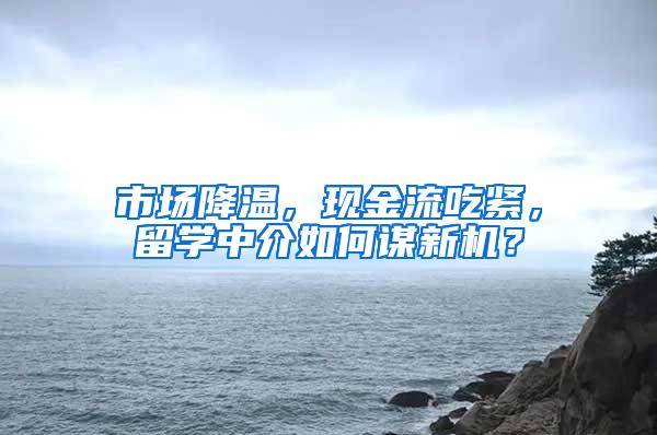 市场降温，现金流吃紧，留学中介如何谋新机？