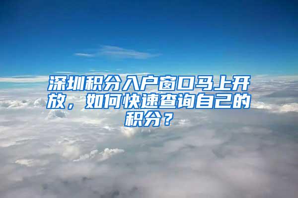 深圳积分入户窗口马上开放，如何快速查询自己的积分？