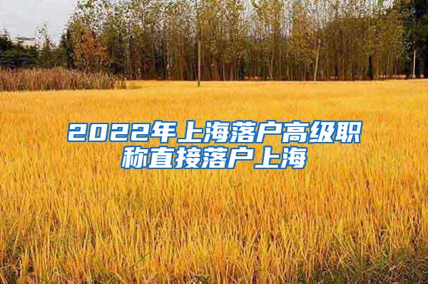 2022年上海落户高级职称直接落户上海