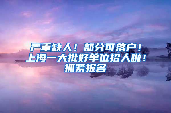 严重缺人！部分可落户！上海一大批好单位招人啦！抓紧报名