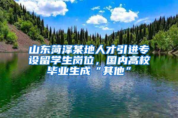 山东菏泽某地人才引进专设留学生岗位，国内高校毕业生成“其他”