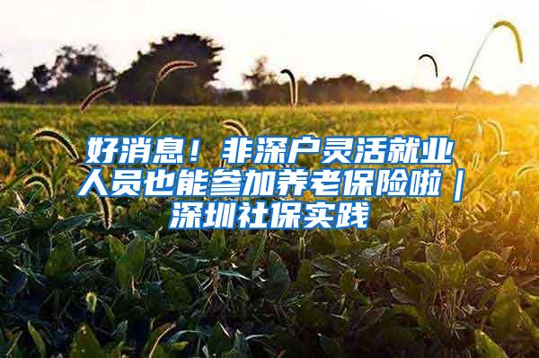 好消息！非深户灵活就业人员也能参加养老保险啦｜深圳社保实践④