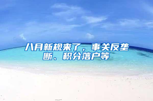 八月新规来了，事关反垄断、积分落户等