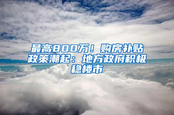 最高800万！购房补贴政策潮起：地方政府积极稳楼市