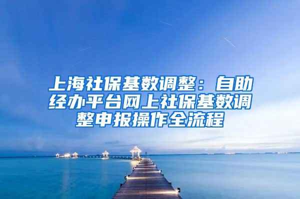 上海社保基数调整：自助经办平台网上社保基数调整申报操作全流程