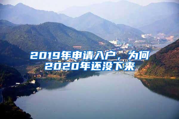 2019年申请入户，为何2020年还没下来