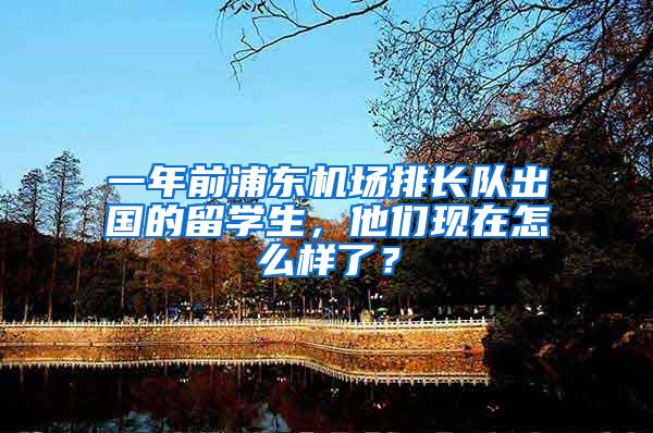 一年前浦东机场排长队出国的留学生，他们现在怎么样了？