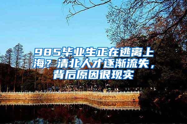 985毕业生正在逃离上海？清北人才逐渐流失，背后原因很现实