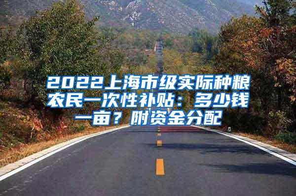 2022上海市级实际种粮农民一次性补贴：多少钱一亩？附资金分配