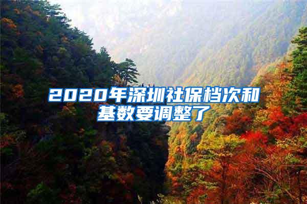 2020年深圳社保档次和基数要调整了