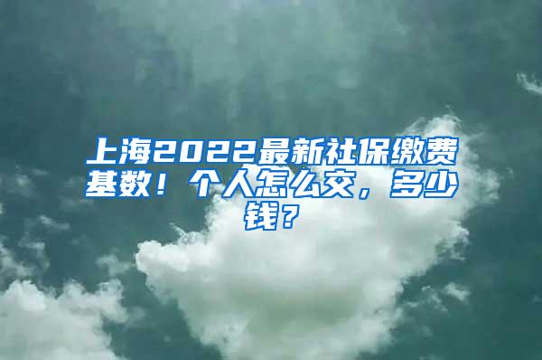 上海2022最新社保缴费基数！个人怎么交，多少钱？