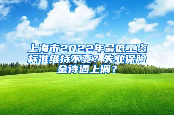 上海市2022年最低工资标准维持不变？失业保险金待遇上调？