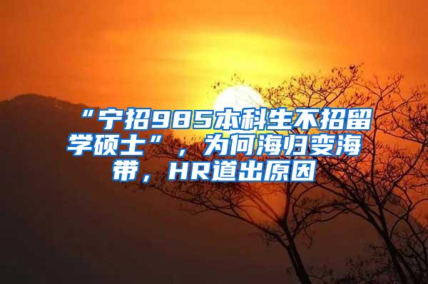 “宁招985本科生不招留学硕士”，为何海归变海带，HR道出原因