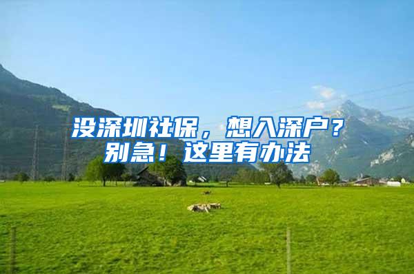 没深圳社保，想入深户？别急！这里有办法