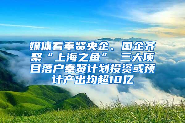 媒体看奉贤央企、国企齐聚“上海之鱼” 三大项目落户奉贤计划投资或预计产出均超10亿