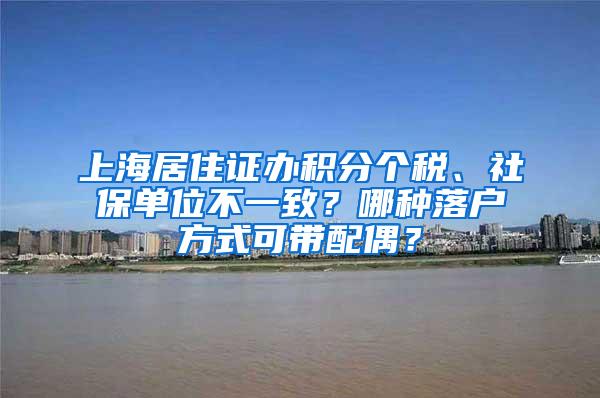 上海居住证办积分个税、社保单位不一致？哪种落户方式可带配偶？