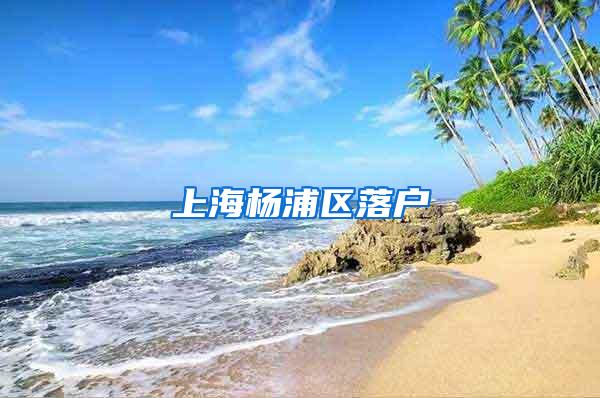 上海杨浦区落户