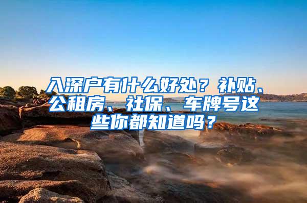 入深户有什么好处？补贴、公租房、社保、车牌号这些你都知道吗？