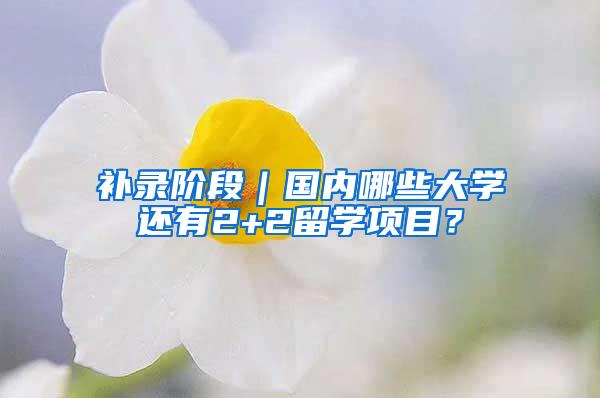 补录阶段｜国内哪些大学还有2+2留学项目？