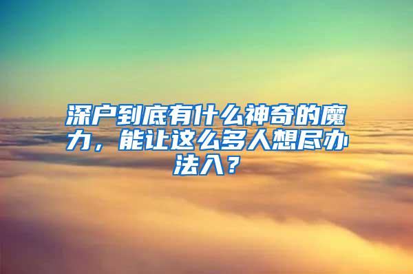 深户到底有什么神奇的魔力，能让这么多人想尽办法入？