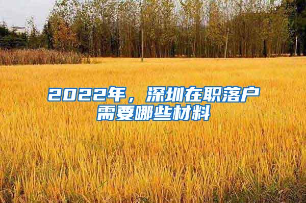 2022年，深圳在职落户需要哪些材料