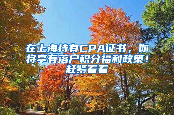 在上海持有CPA证书，你将享有落户积分福利政策！赶紧看看