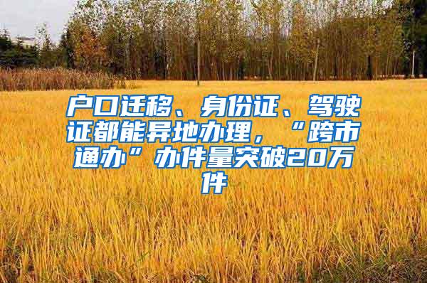 户口迁移、身份证、驾驶证都能异地办理，“跨市通办”办件量突破20万件