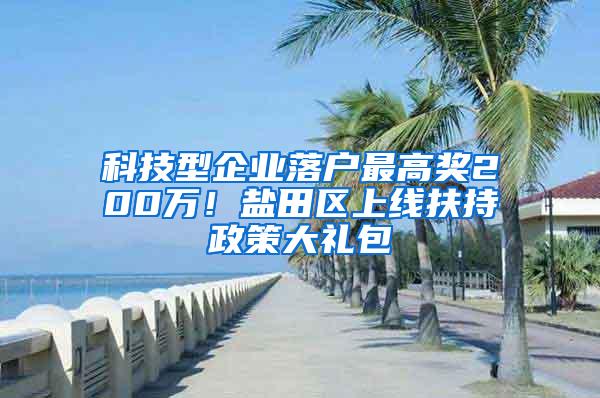 科技型企业落户最高奖200万！盐田区上线扶持政策大礼包