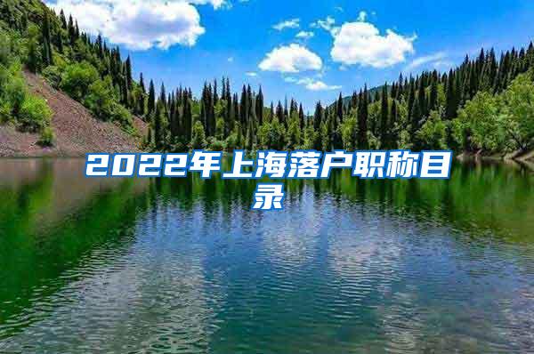 2022年上海落户职称目录