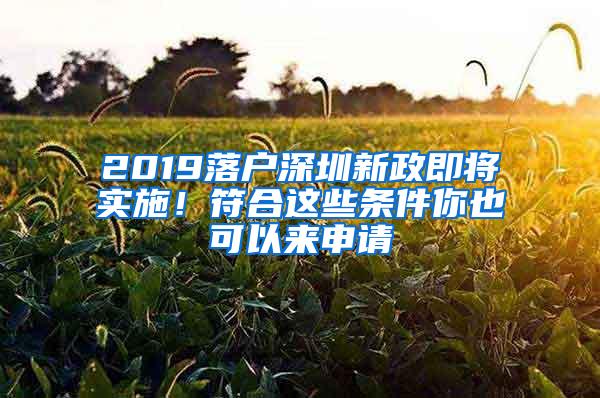 2019落户深圳新政即将实施！符合这些条件你也可以来申请