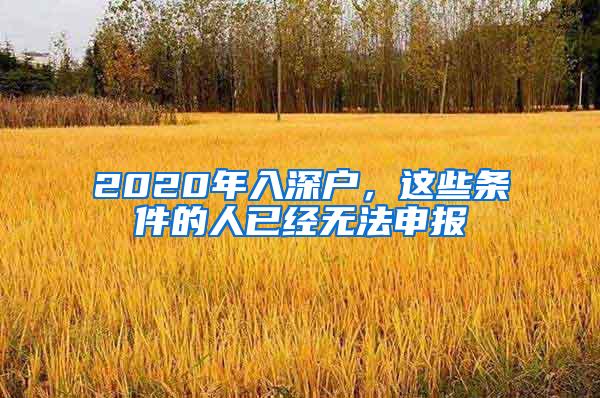 2020年入深户，这些条件的人已经无法申报