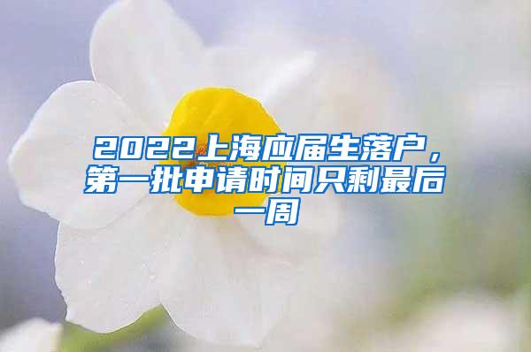 2022上海应届生落户，第一批申请时间只剩最后一周