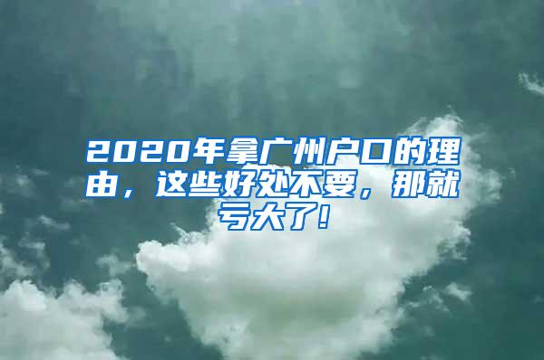 2020年拿广州户口的理由，这些好处不要，那就亏大了!