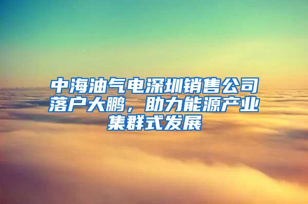 中海油气电深圳销售公司落户大鹏，助力能源产业集群式发展